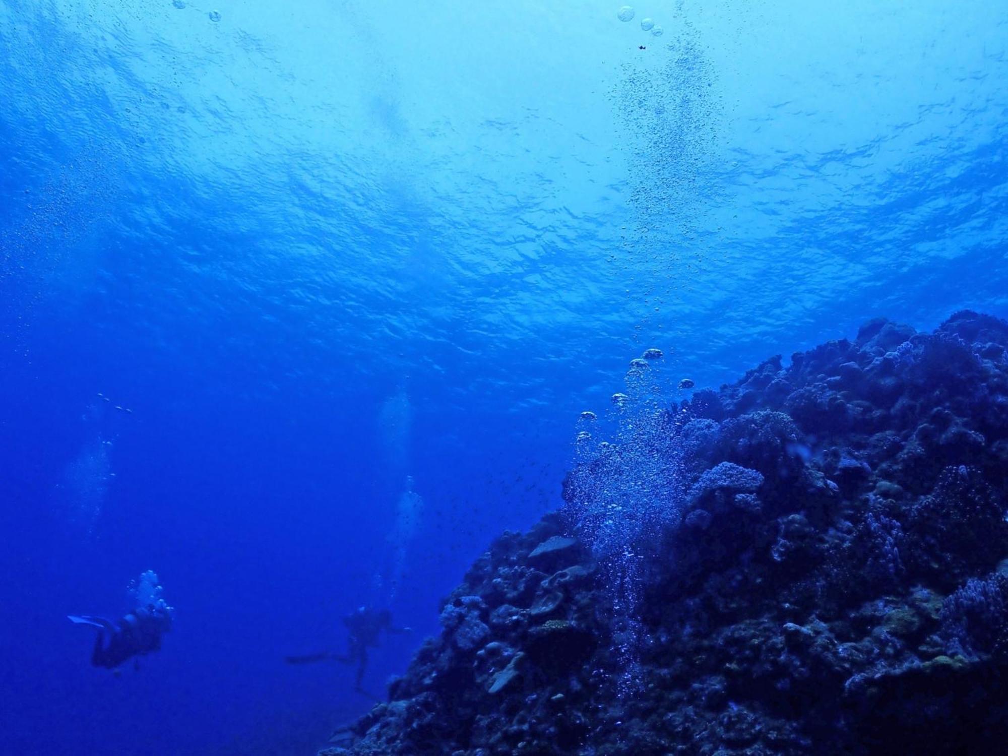 Ishigaki  石垣島グループの宿 2216 にじいろ ユーグレナモール内 מראה חיצוני תמונה